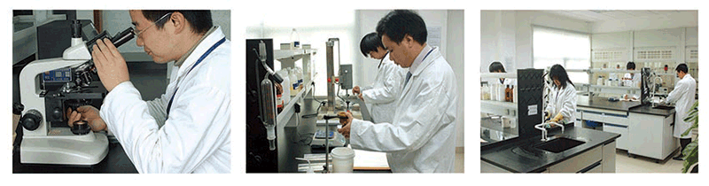 r&d r&d